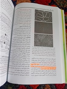 ژنتیک