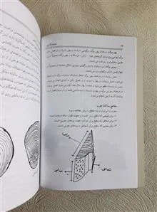 منبت