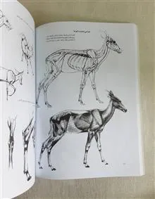 هنر