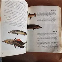 ماهیها