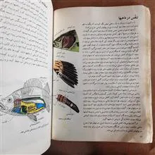 ماهیها