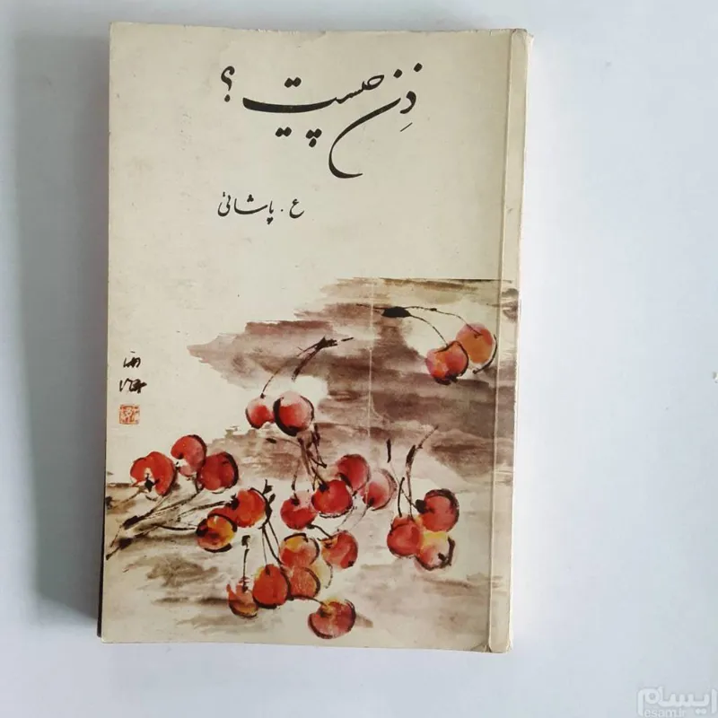 ذن چیست
