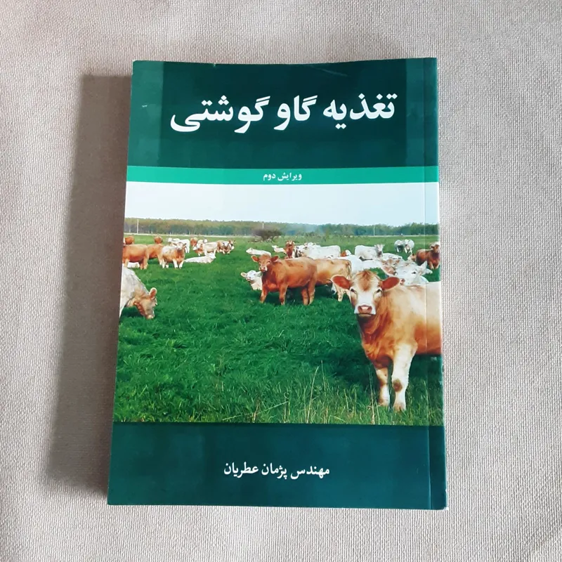تغذیه گاو گوشتی