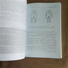 تغذیه