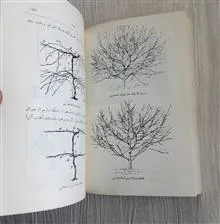 پرورش