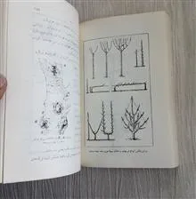 پرورش