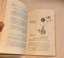 نسخه