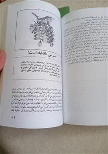 زبان