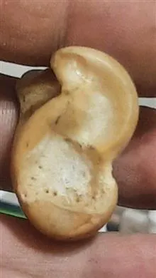 مهره