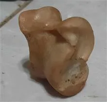 مهره