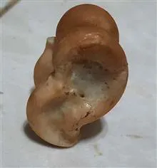 مهره
