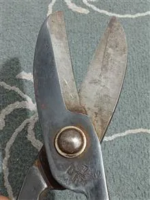 قیچی