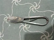 قیچی