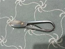 قیچی
