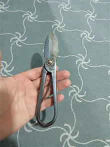 قیچی