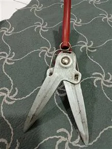 قیچی