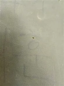 کوله