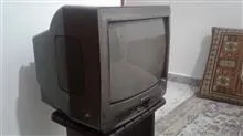 تلویزیون