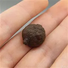 هبهاب