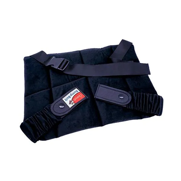کمربند ایمنی بارداری کلیپ پاسافه مدل CL575