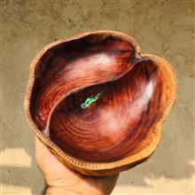 اردورخوری