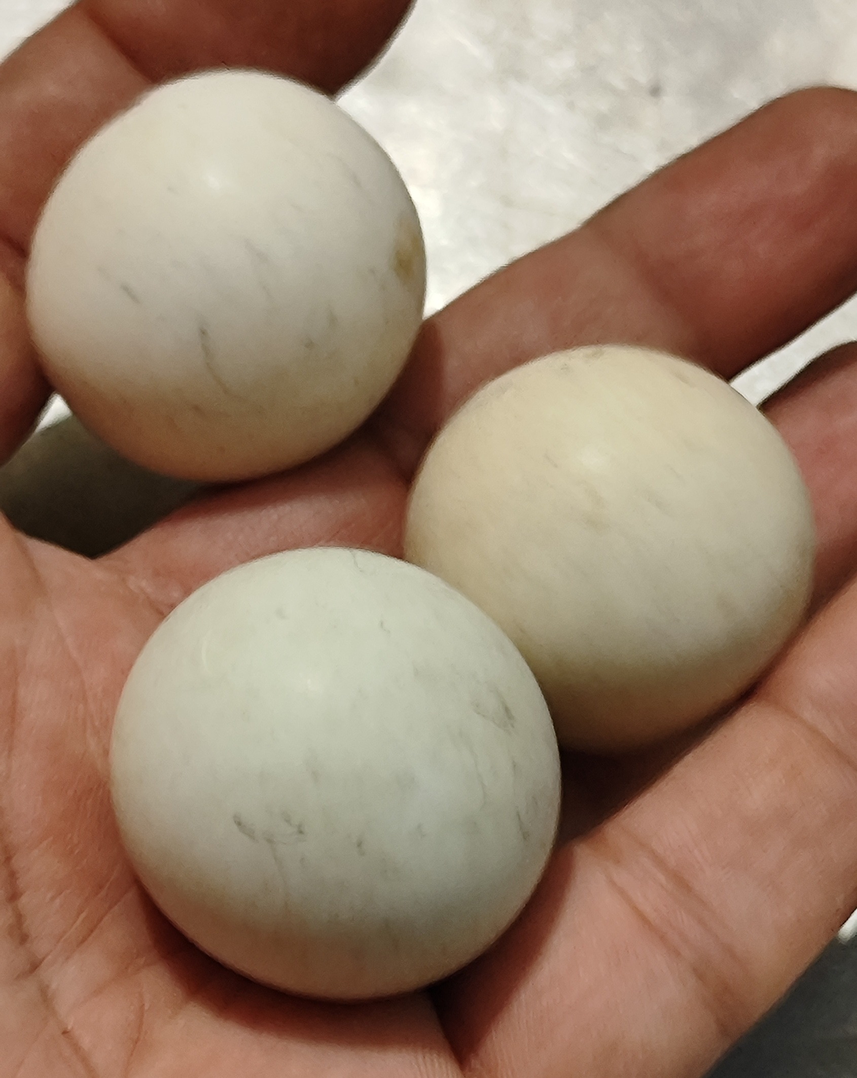 سه عدد مهره یا کوی گهنه