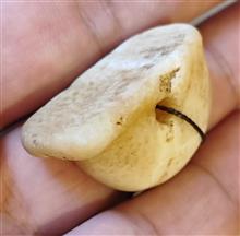 مهر