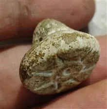 مهر