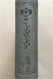 انیس