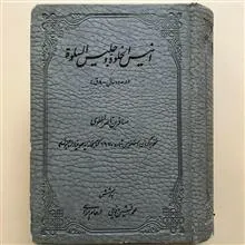 انیس