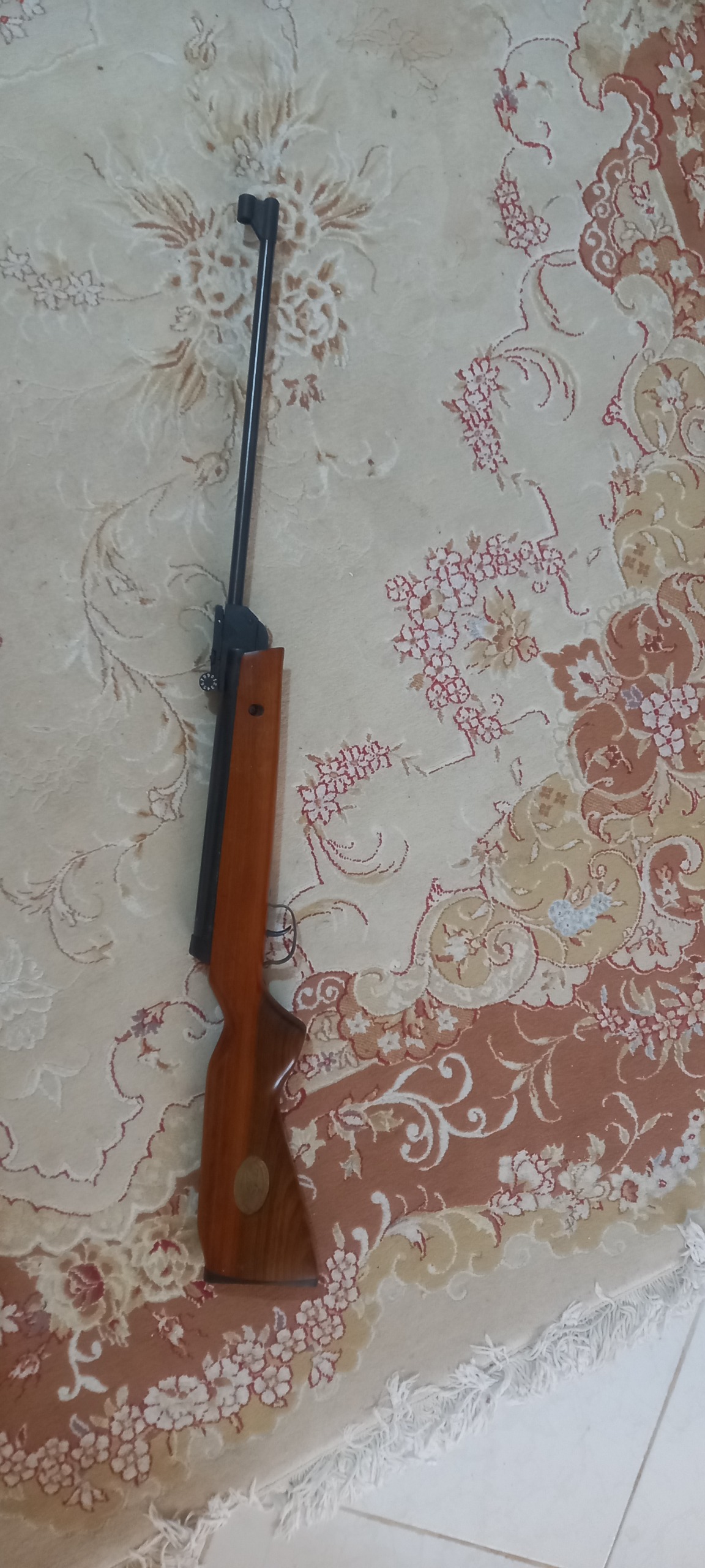 تفنگ بادی تندباد