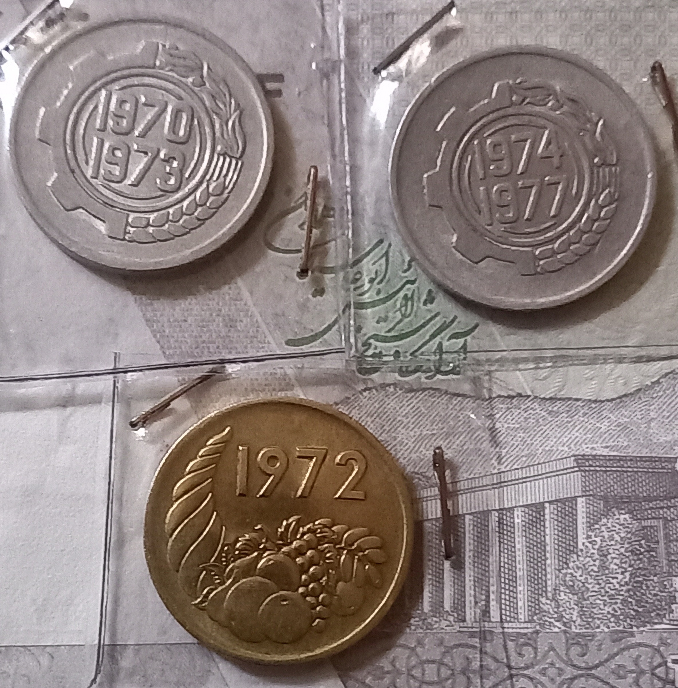 3 عدد سکه فائو الجزایر