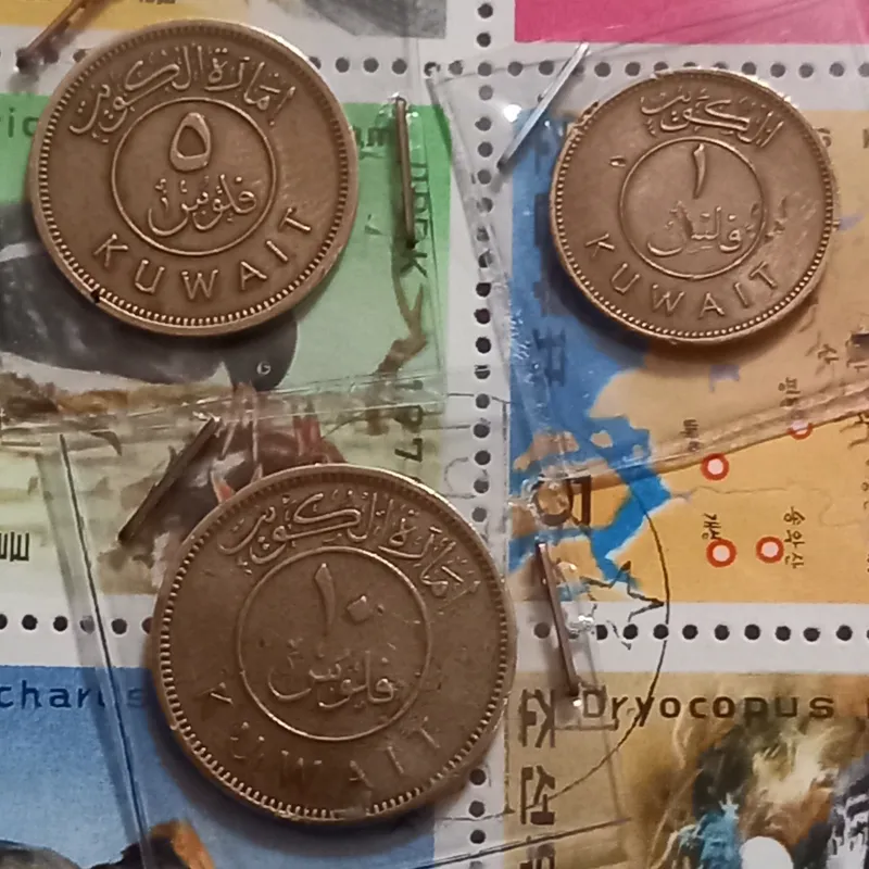 3 عدد سکه کویت