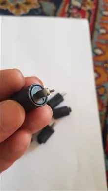 فیش