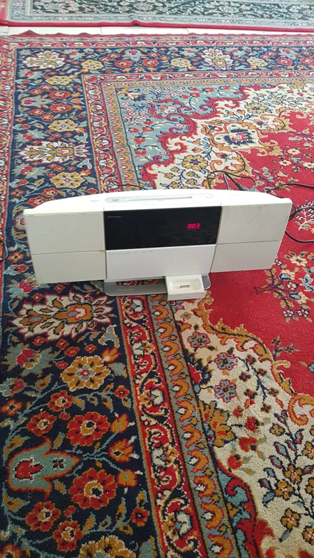 اسپیکر حرفه ای پایونیر