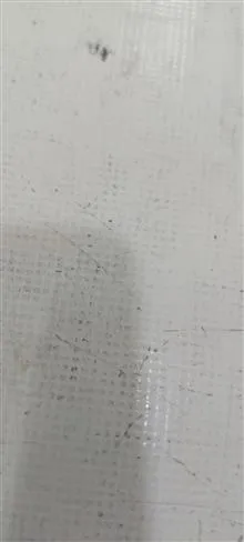 پردازنده