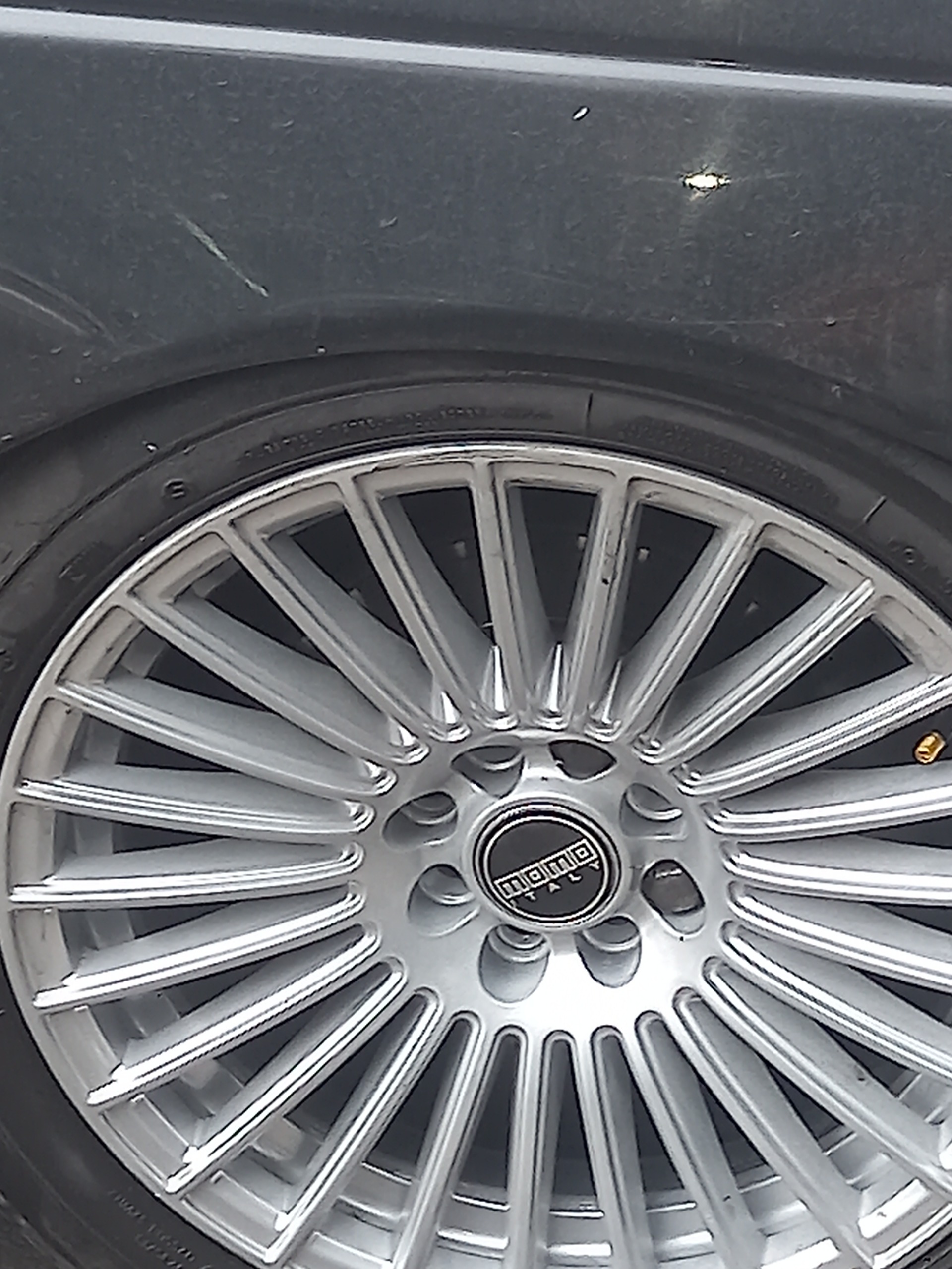 ربنگ اوزد پره ای 16