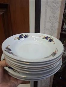 بشقابپلوخوری
