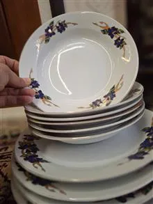 بشقابپلوخوری