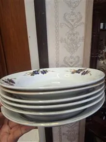 بشقابپلوخوری