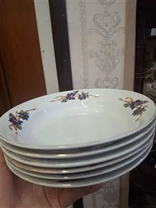 بشقابپلوخوری