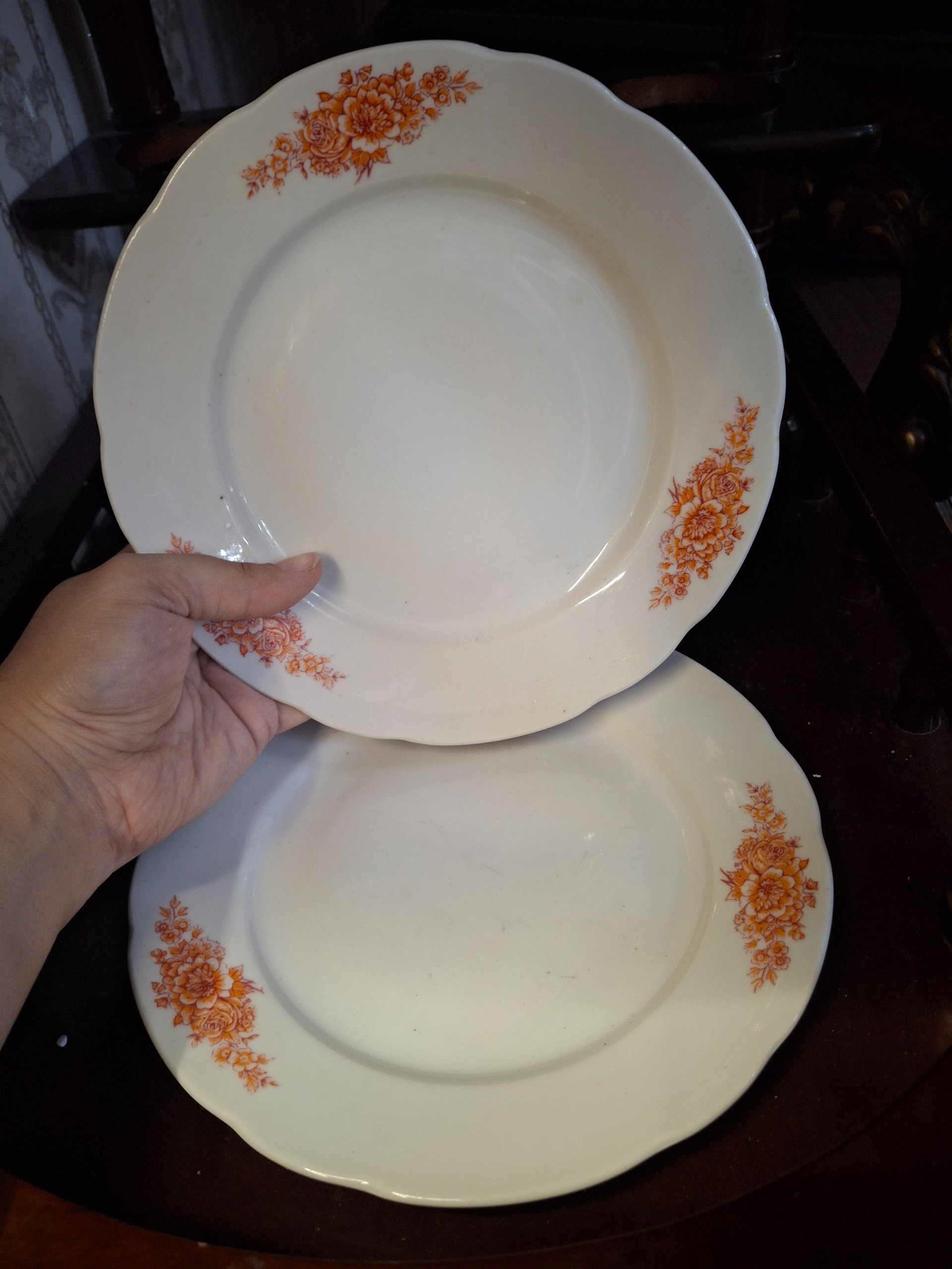 2 عدد بشقاب پلوخوری چینی با ارسال رایگان