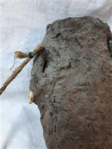 دبه