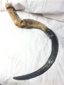 دستگاله