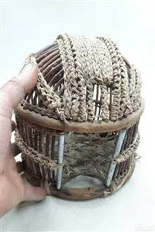 قفس