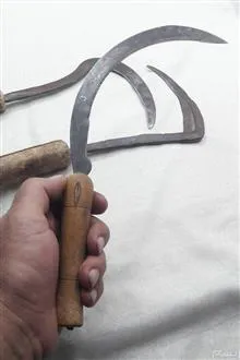 سه