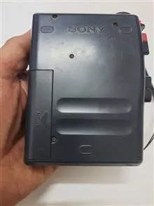 ضبط