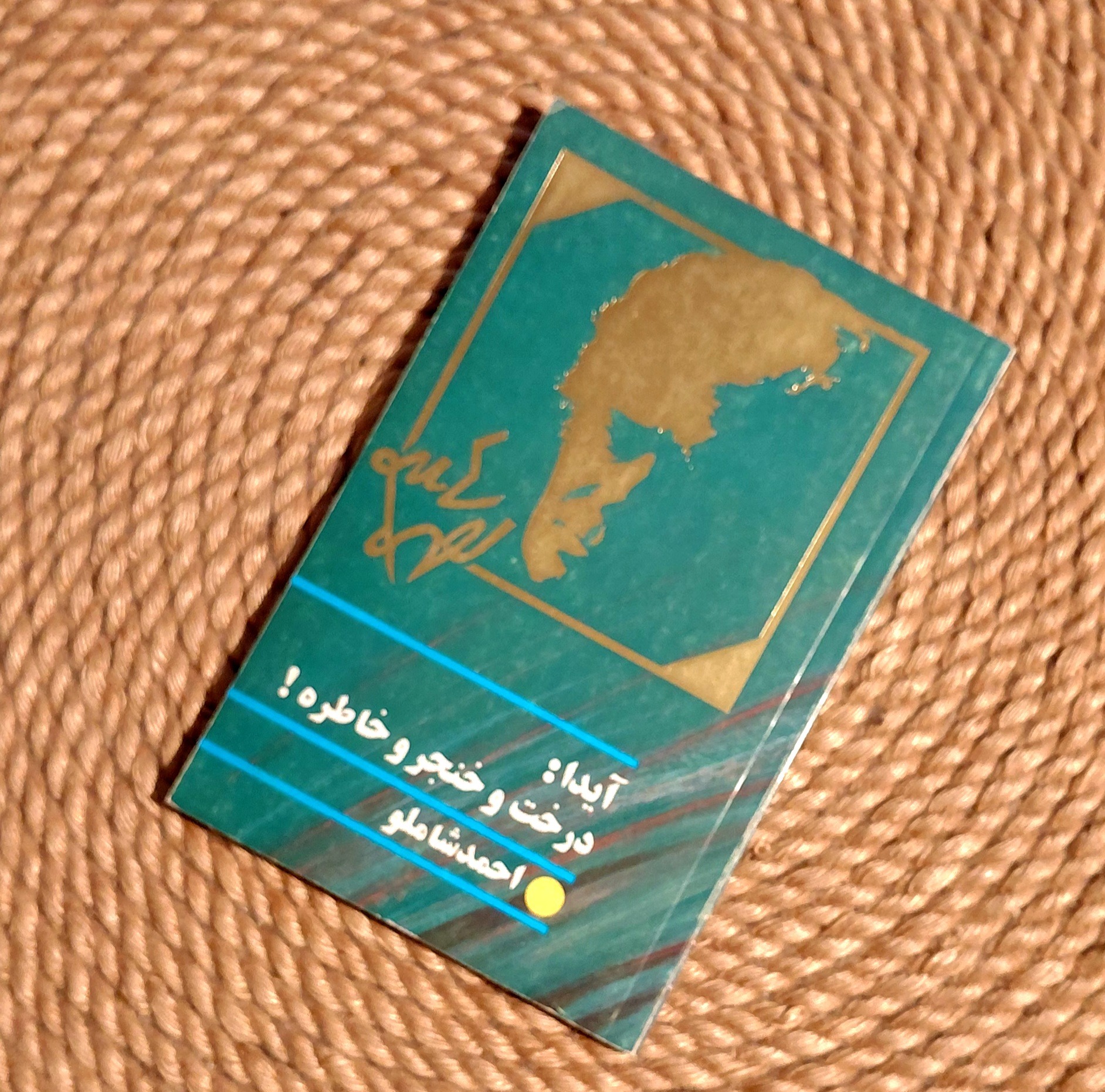 آیدا درخت و خن.جر و خاطره