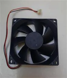 فن