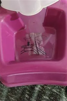 ظرف